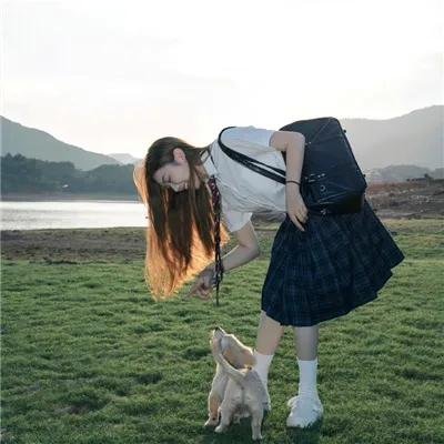 太阳花